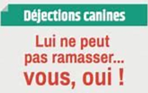 Déjections canines