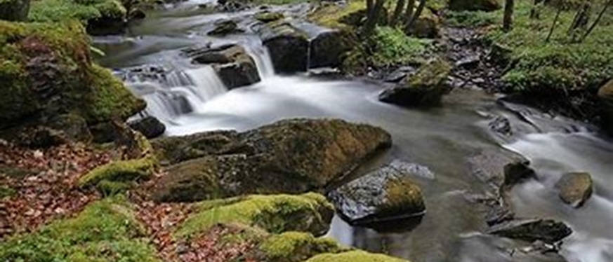 Parc naturel régional des Ardennes - Révision de la Charte - Enquête