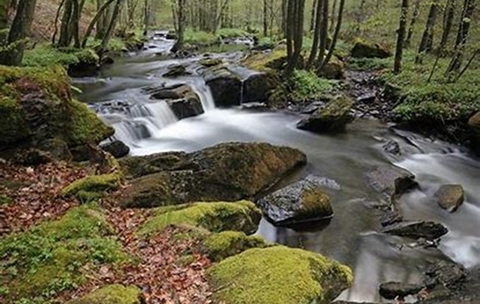 Parc naturel régional des Ardennes - Révision de la Charte - Enquête